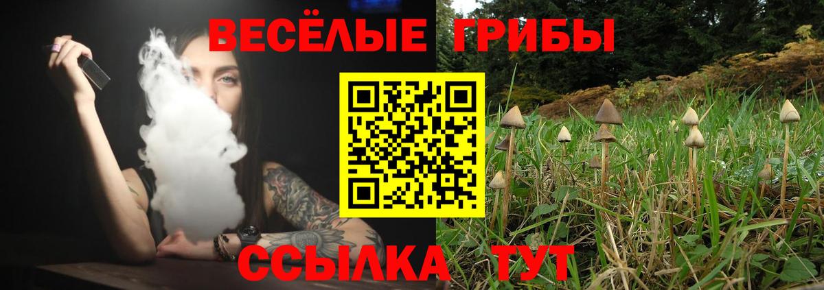 Галлюциногенные грибы Psilocybe  Псилоцибиновые грибы Psilocybe  Чайковский  Вход с VPN 